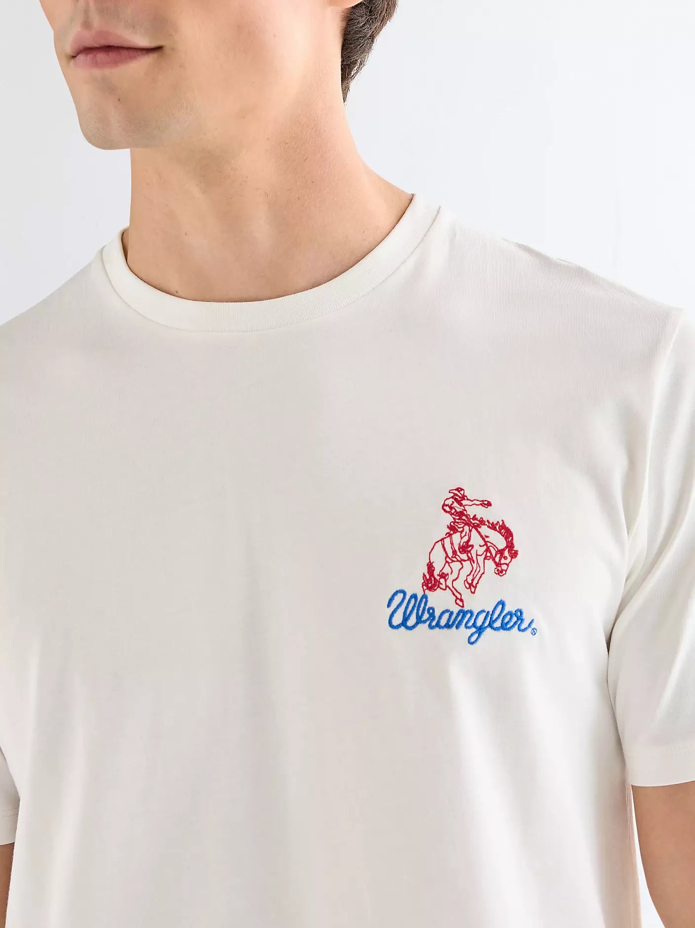 EMBROIDERY TEE WORN WHITE