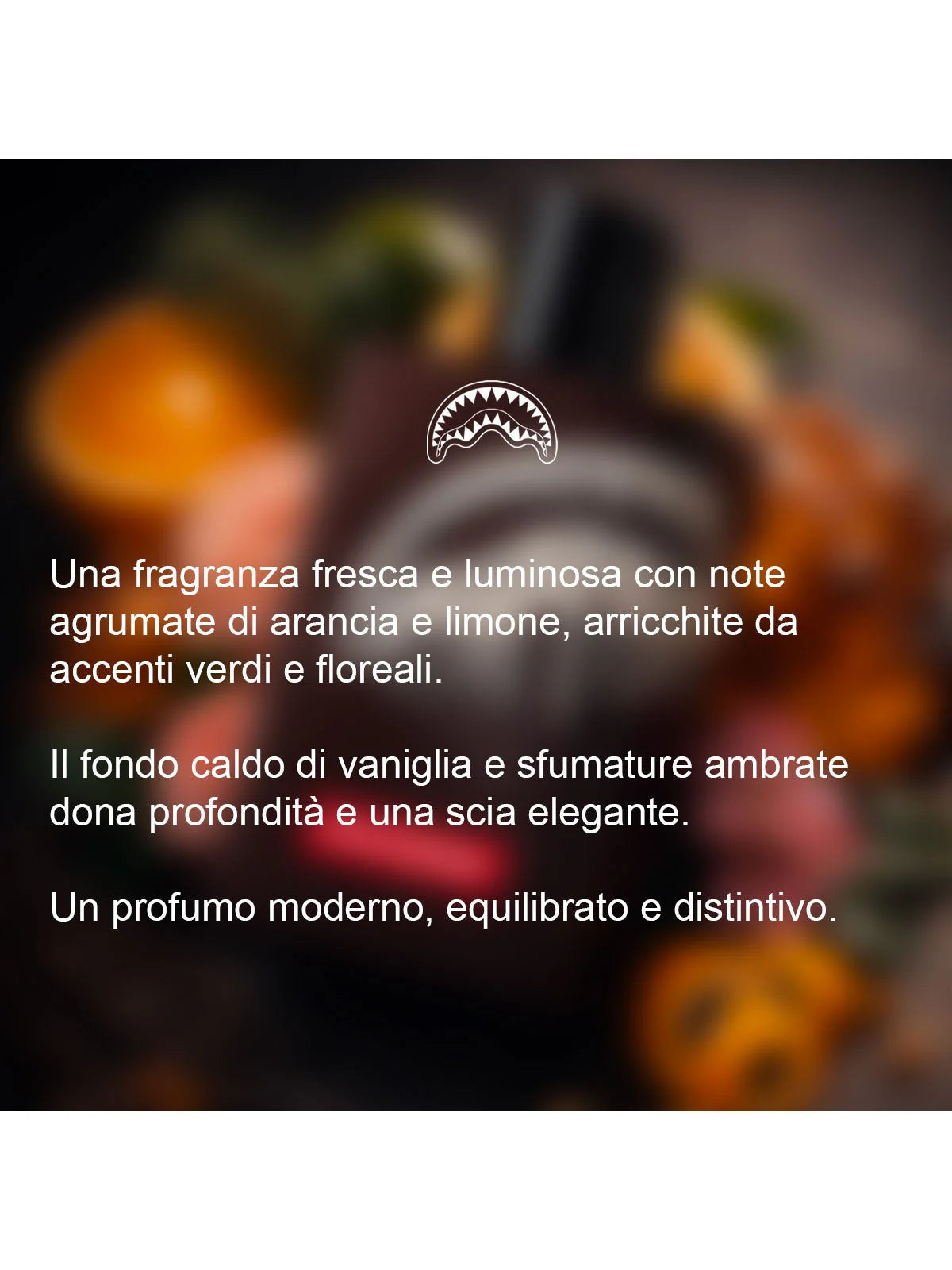 PROFUMO BLACK CHECK FRAGANCE
SPRAYGROUND unisex