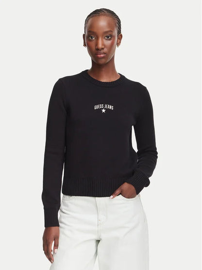 Maglione Regular Fit